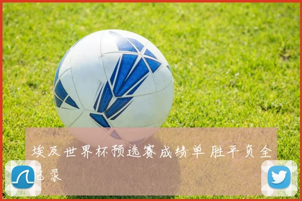 埃及世界杯预选赛成绩单 胜平负全记录