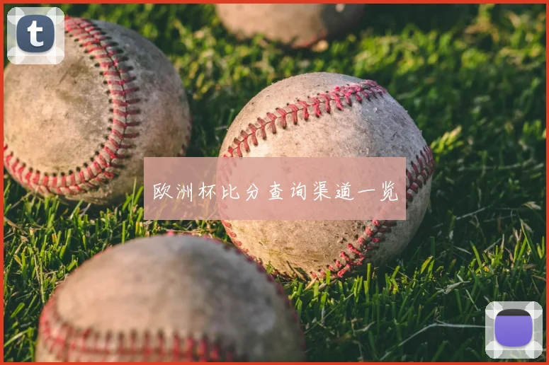 欧洲杯比分查询渠道一览