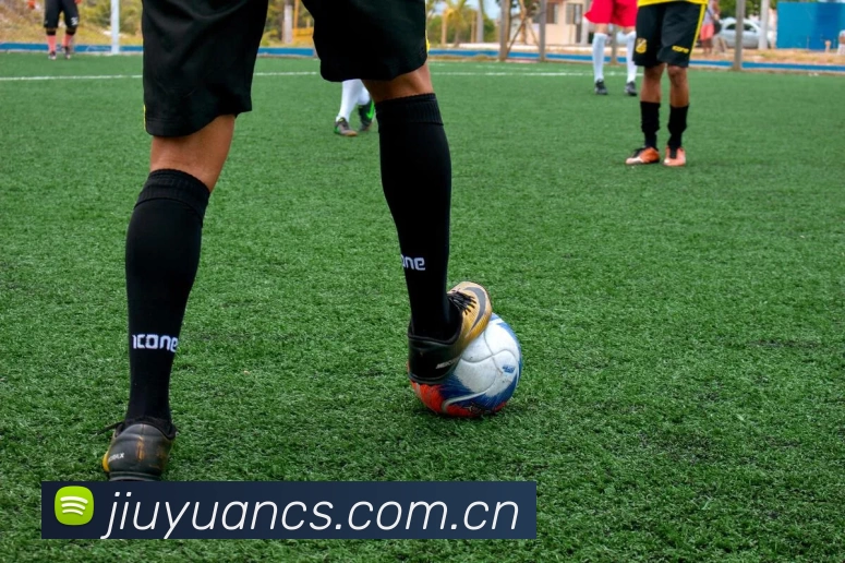 九游会·j9官方网站 - 全新游戏模式,挑战自我!发展历程